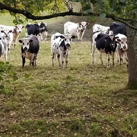 D'hotes La Clef Des Champs Normandie Manche 50 Bed & Breakfast