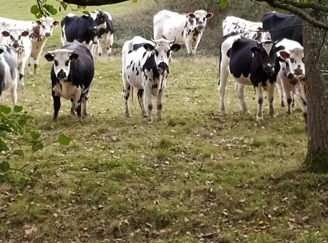 D'hotes La Clef Des Champs Normandie Manche 50 B&B