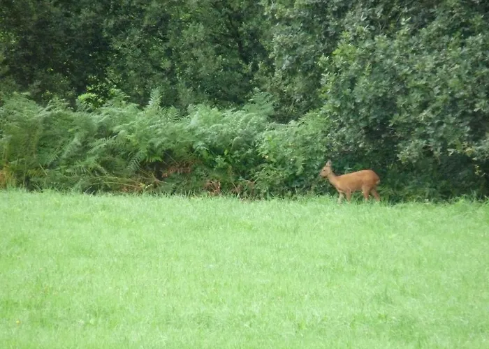Bed & Breakfast D'hotes La Clef Des Champs Normandie Manche 50